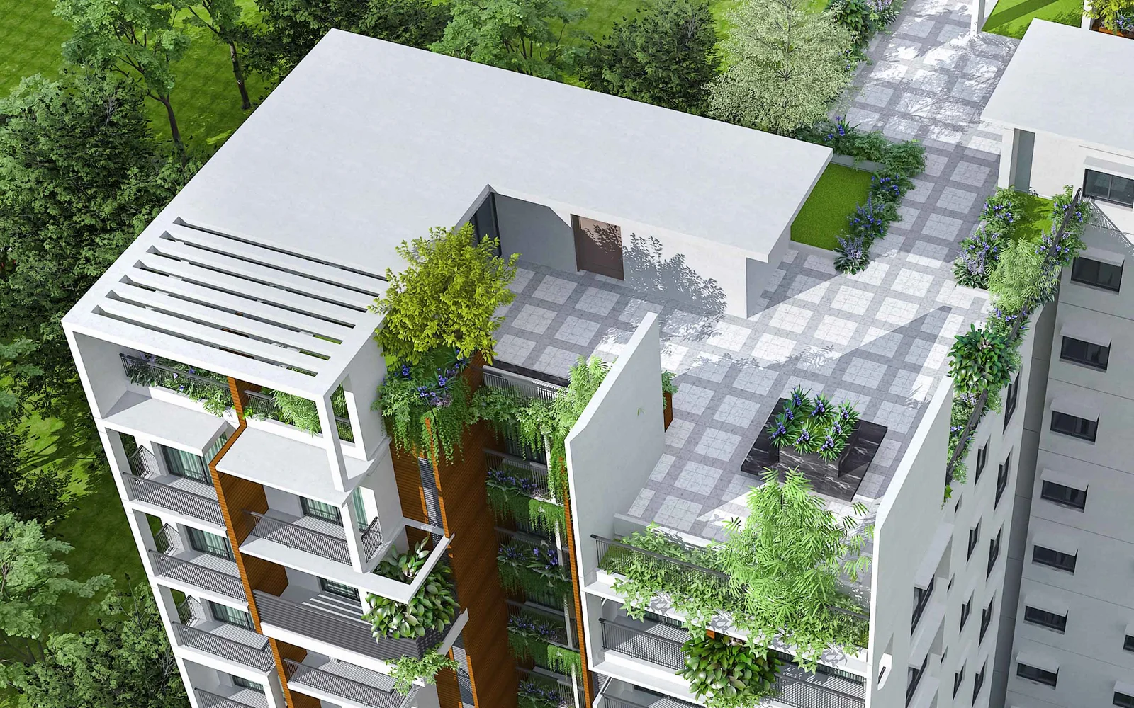 DDPL Innovia 6