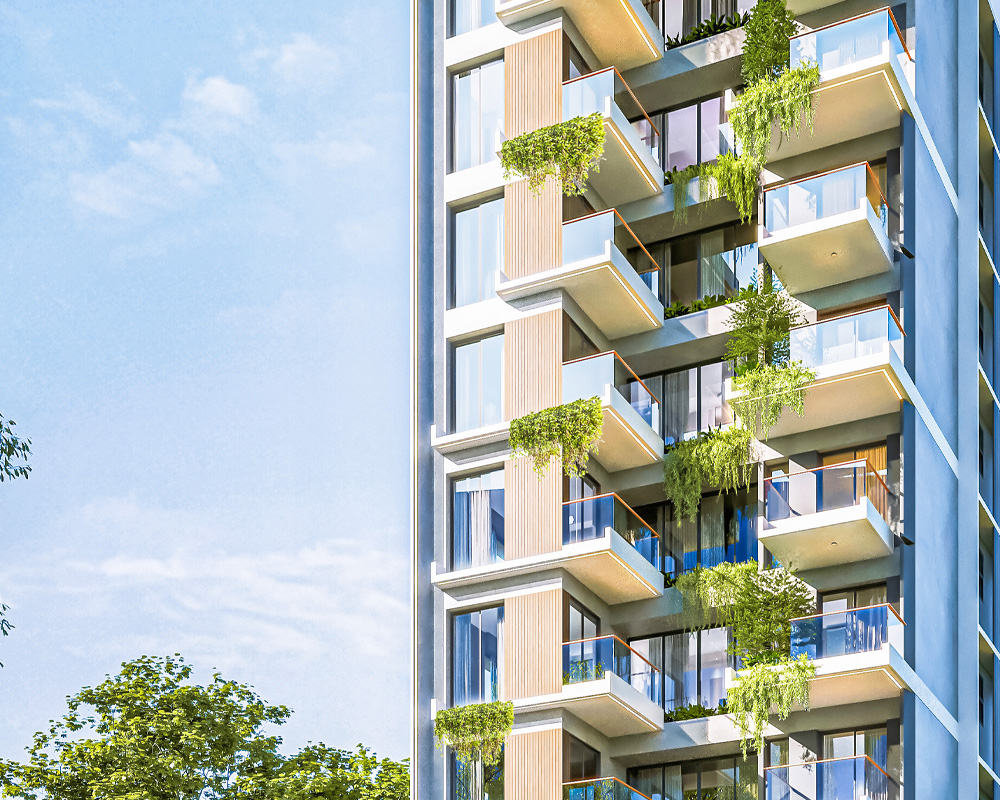 Doyel Zenovia 2